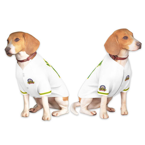 Custom White Kelly Green-Gold Classic Style Dog Jersey