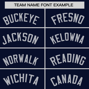 Custom Navy Crimson Pinstripe Personalized Raglan Sleeves Authentic Baseball Jersey