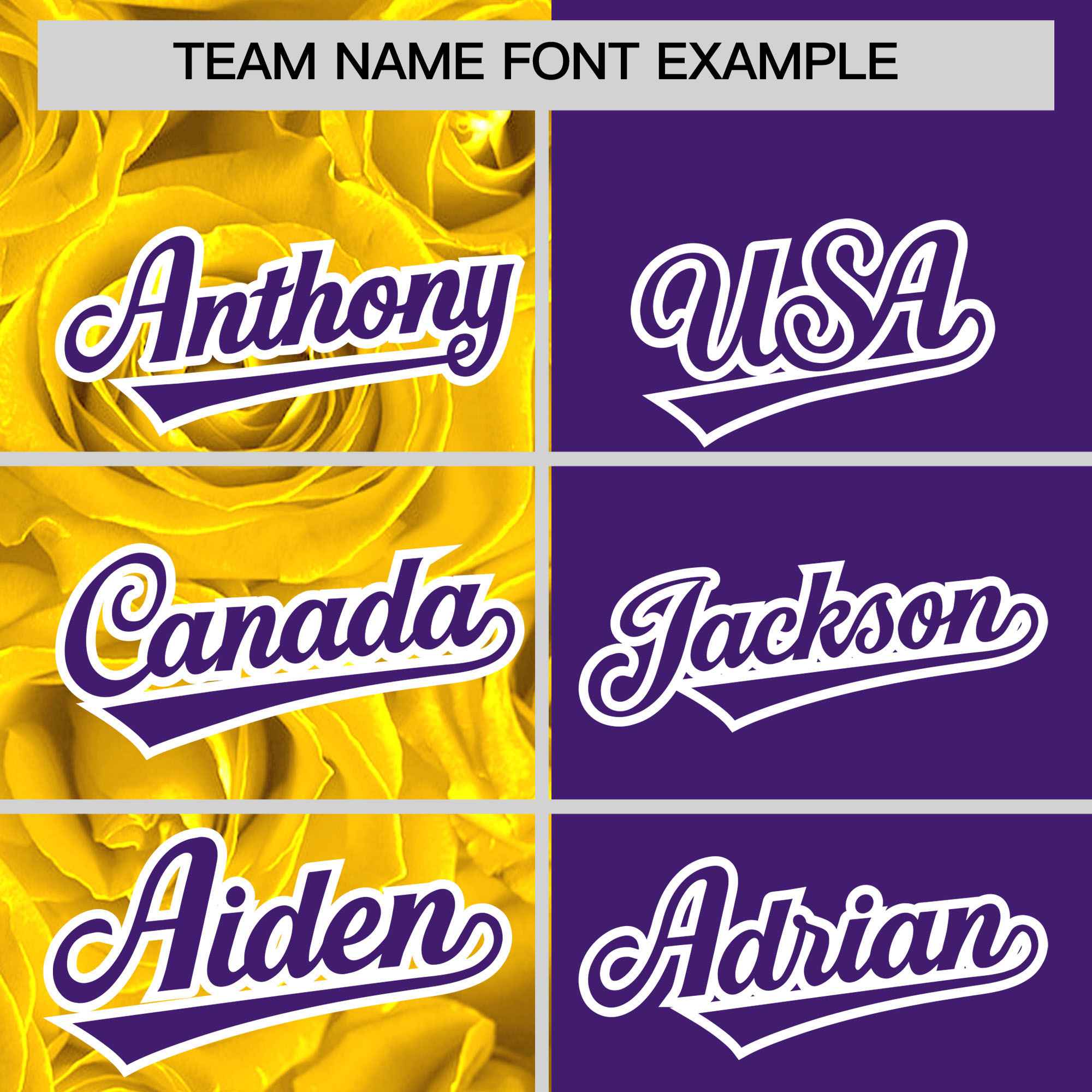 Custom Gold Purple Split Rose Print Authentic Baseball Jersey