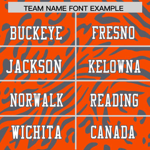 Custom Orange White-Dark Gray Personalized Zebra Stripes Pattern Authentic Football Jersey