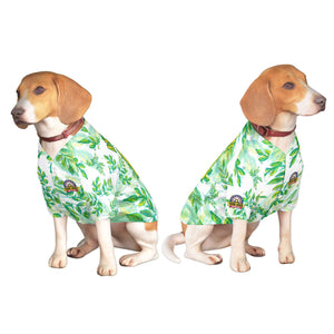 Maillot pour chien à motif graffiti vert Kelly doré personnalisé